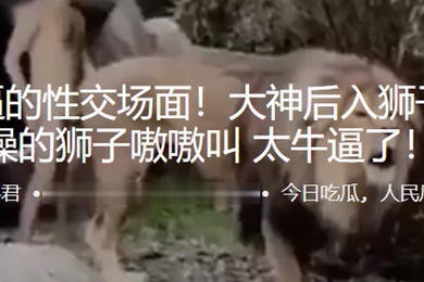 最牛逼的性交场面后入狮子王操的狮子嗷嗷叫太牛逼了
