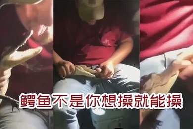 鳄.鱼不.是你想.操想.操就能.操