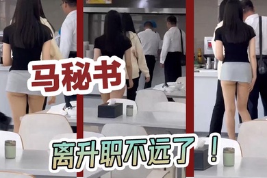 马秘书离升职不远了